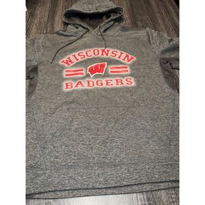 Wisconsin Badgers Campus Heritage Hoodie Men's M Gray NCAA College Sportswear